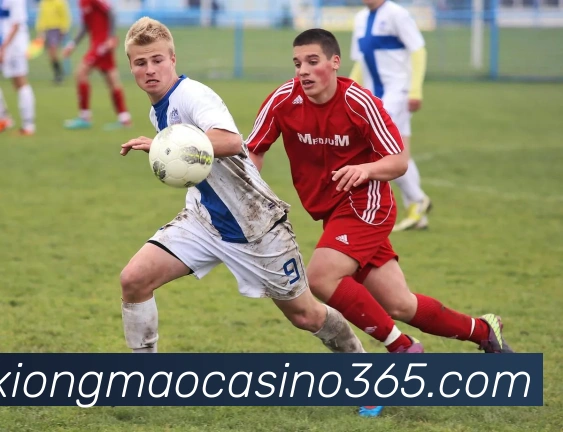 多媒体互动体验